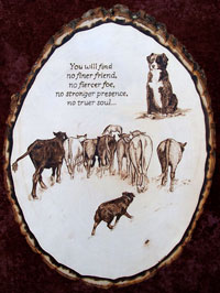 SOLD - 2007 MASCA High In Trial Award!&nbsp; (A tribute to Scarlett)