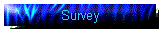 Survey