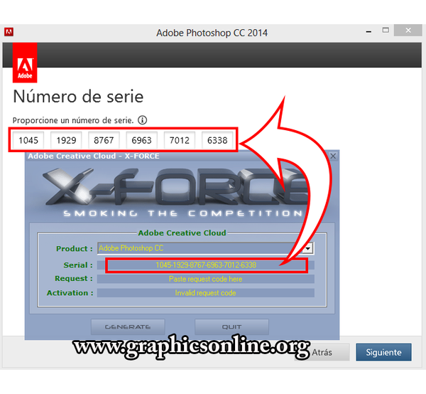Paso 6: