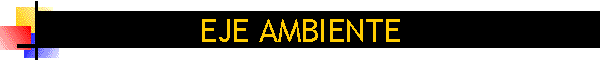EJE AMBIENTE