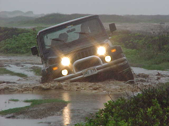 Getting Down and Dirty!!
