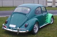 Gregory's beetle