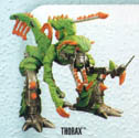 Thorax