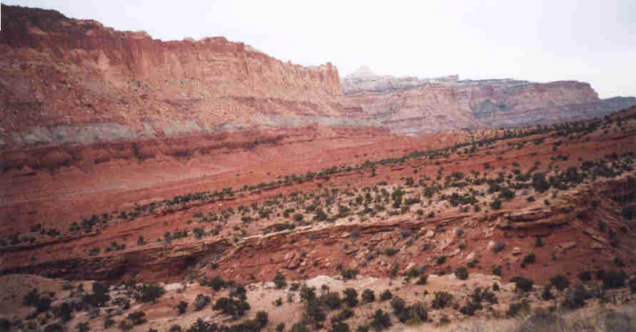 /user/capitolreef.JPG