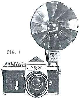 Flash Bulb