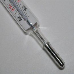 Thermometer