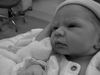 2 hrs old