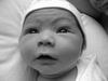 5 days old
