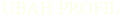 UBAH PROFIL