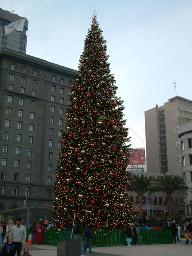 our proposal tree