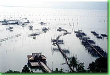 Fish farms run by local villagers are scattered around exotic Songkhla Lake