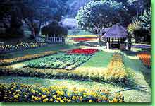 Beautiful setting of the Mae Sa Valley Resort