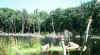 52474_24.jpg (18638 bytes)