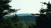 65166_10.jpg (11552 bytes)
