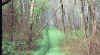 73803_02.jpg (19074 bytes)