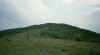 76098_15.jpg (7204 bytes)