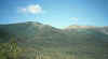 79844_07.jpg (9729 bytes)
