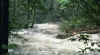 94677_21.jpg (15673 bytes)