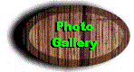 photobutt.gif (5351 bytes)