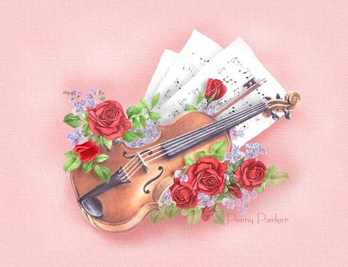 Violin