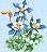 Columbines