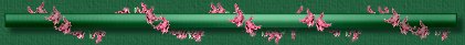 Divider