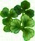 Shamrocks