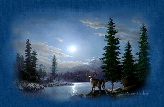 Lake