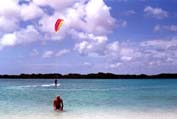 bonaire_02s.jpg (10538 bytes)