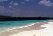 bonaire_11s.jpg (9645 bytes)