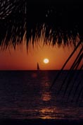 bonaire_17s.jpg (10359 bytes)