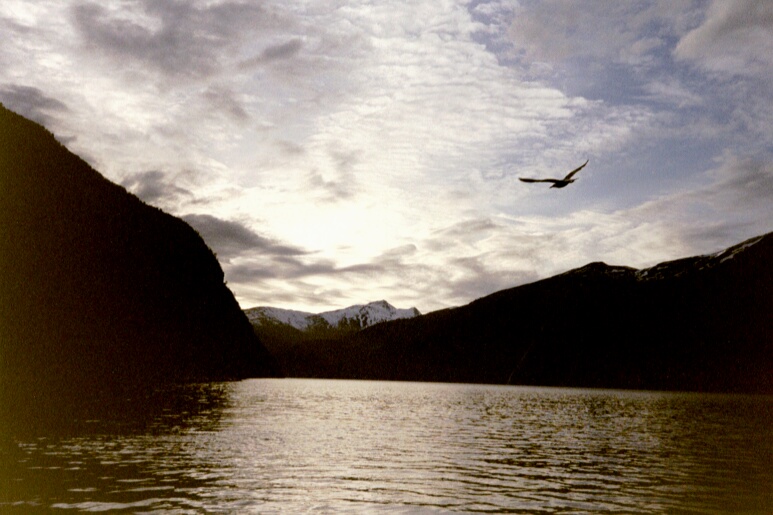 N O R V � � I J A&nbsp; 2 0 0 0 / 2 0 0 2