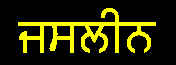 ...in Punjabi