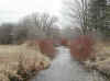 Creek3.jpg (77157 bytes)