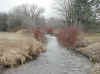 Creek.jpg (81648 bytes)