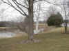 HealthServices_lake.jpg (87189 bytes)