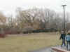 HealthServices_trees.jpg (61427 bytes)