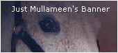 Min banner!