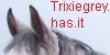 Trixie Grey