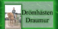 Draumur