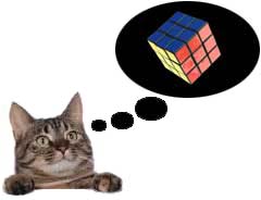 Kitties can't solve Rubik's cubes :/