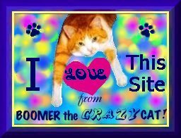 From Boomer ..... The Crazy Cat
