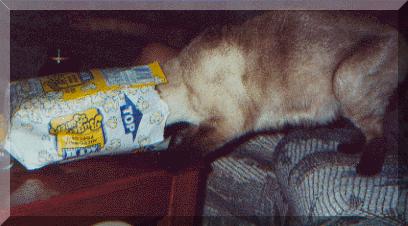 Jason eating the popcorn