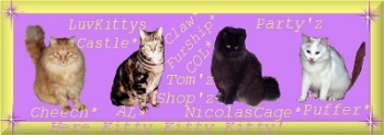 ~~~Visit a real cool castle full of purrrrty kitties~~~~