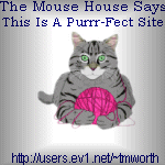 The Mouse House