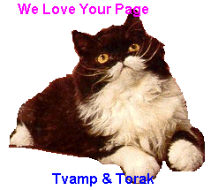 ~~~TVamp & Torak