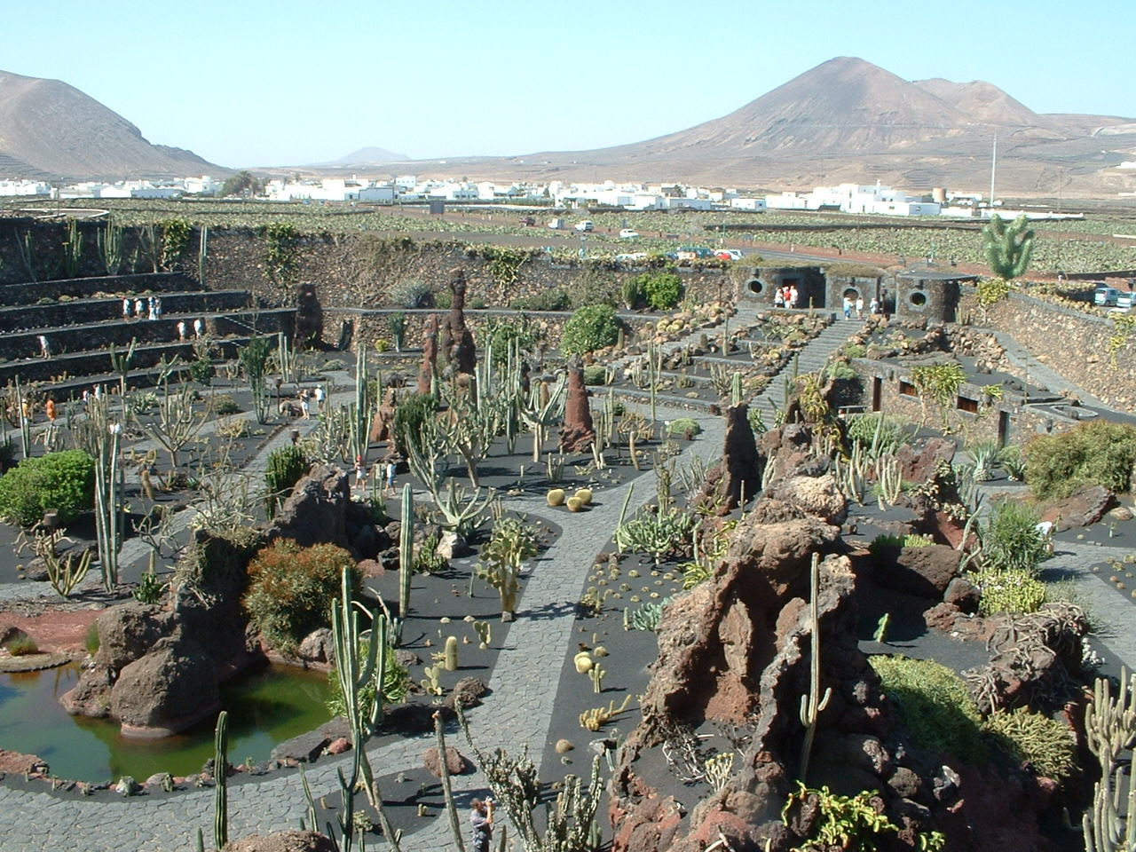 Jardin del Cactus...