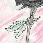Name: Black Rose&nbsp;&nbsp;&nbsp;&nbsp; Media: 5B Graphite Pencil, Water color paints&nbsp;&nbsp;&nbsp;&nbsp; Description: I am not happy with this picture. I love the way the color came out but the flower is way off-center. If you follow the stem up through the flower it doesn't come out in the center.