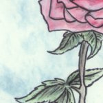 Name: Red Rose&nbsp;&nbsp;&nbsp;&nbsp; Media: 4B Graphite Pencil, Water color paints&nbsp;&nbsp;&nbsp;&nbsp; Description: This one is drawn from the same design as the afore mentioned Black Rose. It's just painted different colors and done on different paper. Not to mention it's not crooked.
