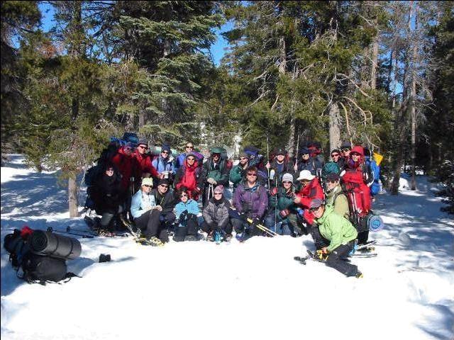 Group